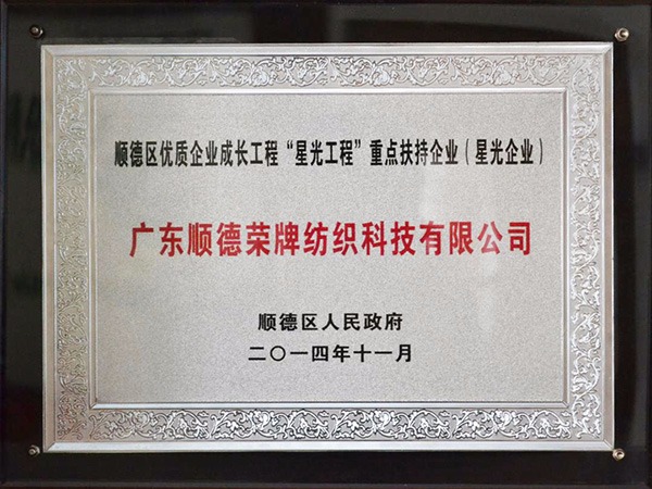 云顶4008-2012年获顺德政府颁发“星光企业”称号